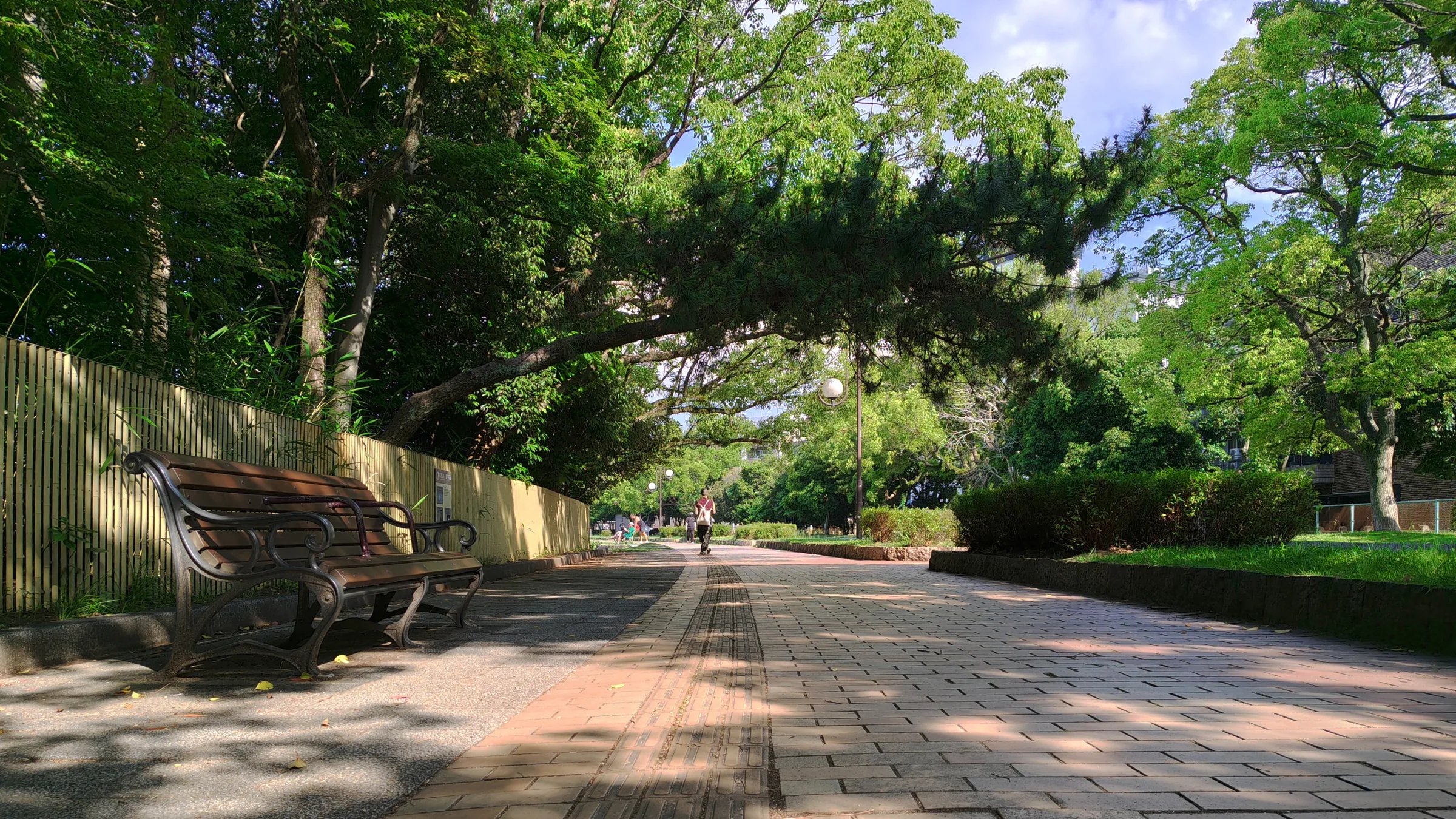 大濠公園環湖步道旁的樹蔭與長椅