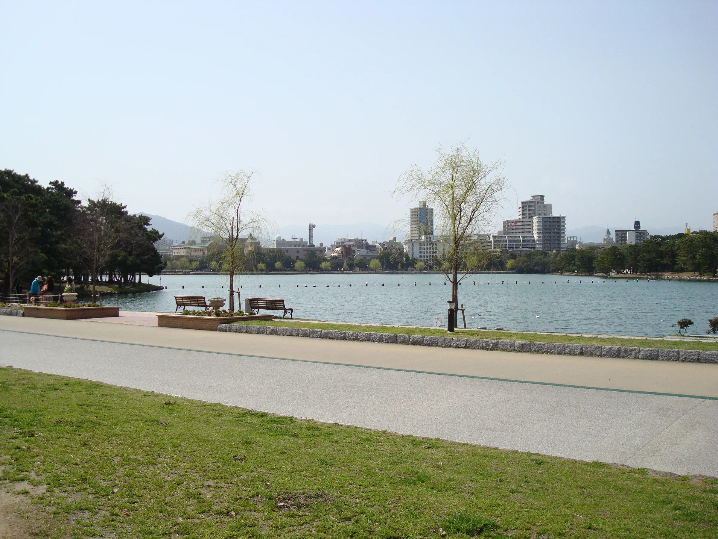 大濠公園湖畔步道、長椅與對岸樹木