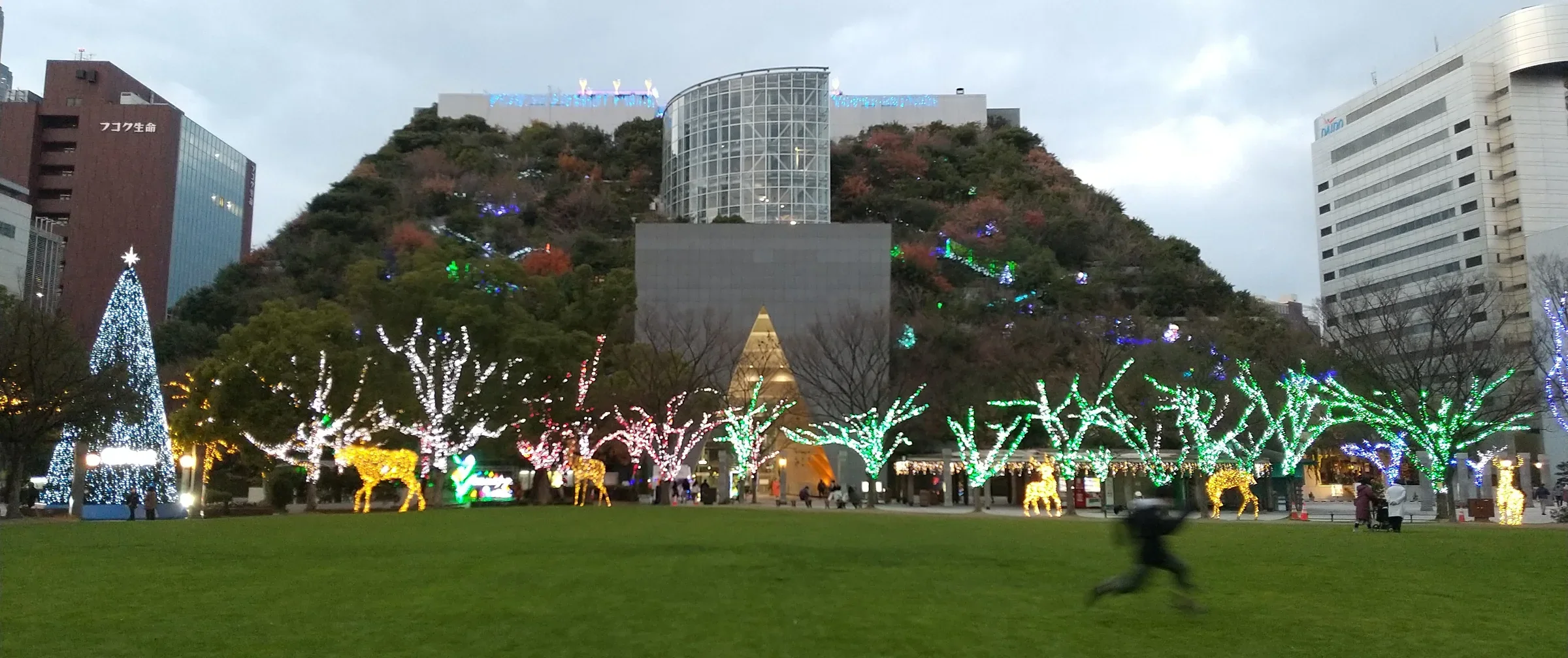 天神中央公園草地前的冬季燈飾與彩色光樹，遠處是 ACROS 福岡