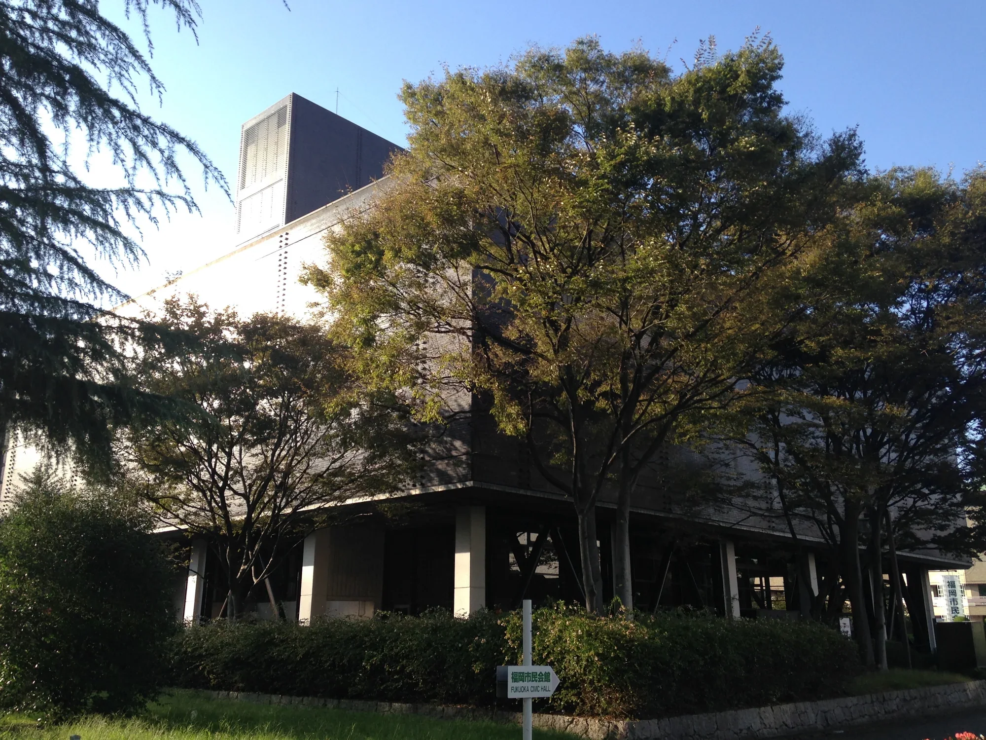 福岡縣立美術館入口前的樹蔭與步道