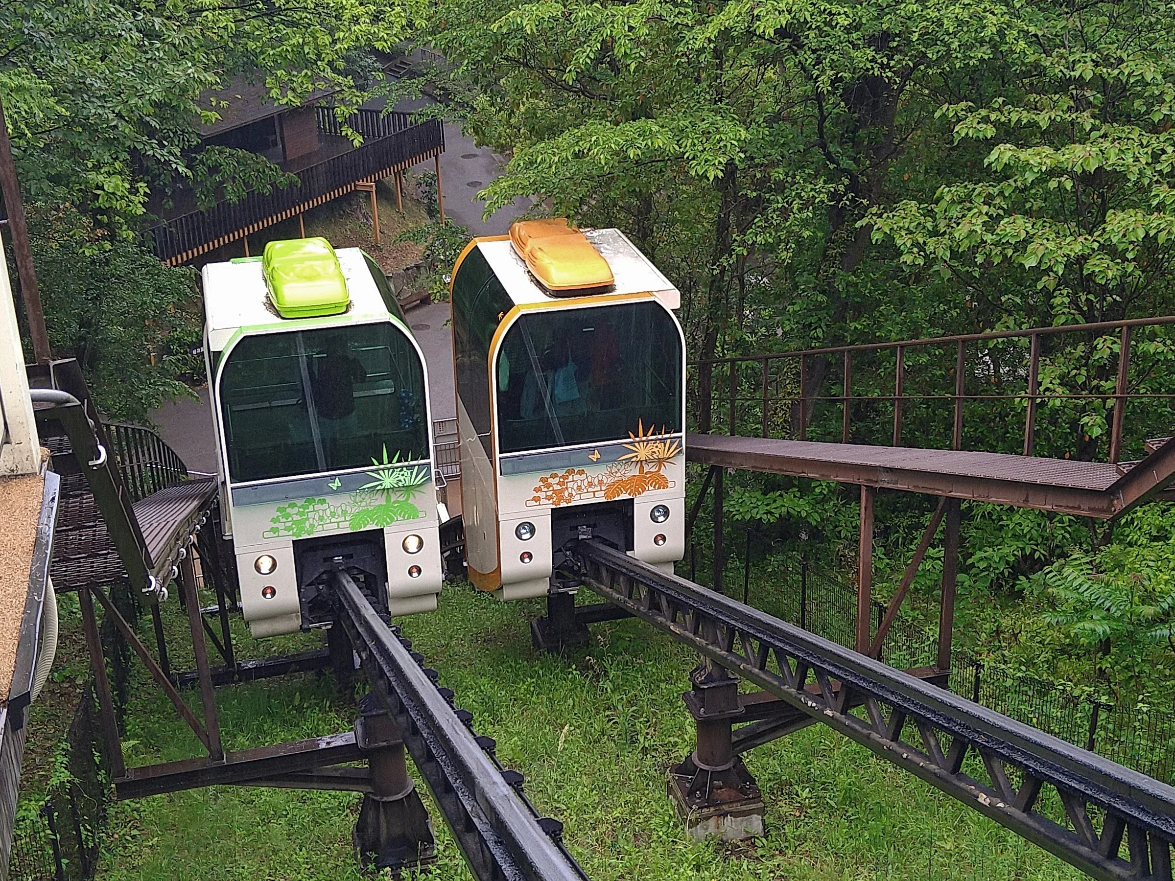 福岡市動植物園坡道車的兩節車廂沿著樹林中的軌道運行