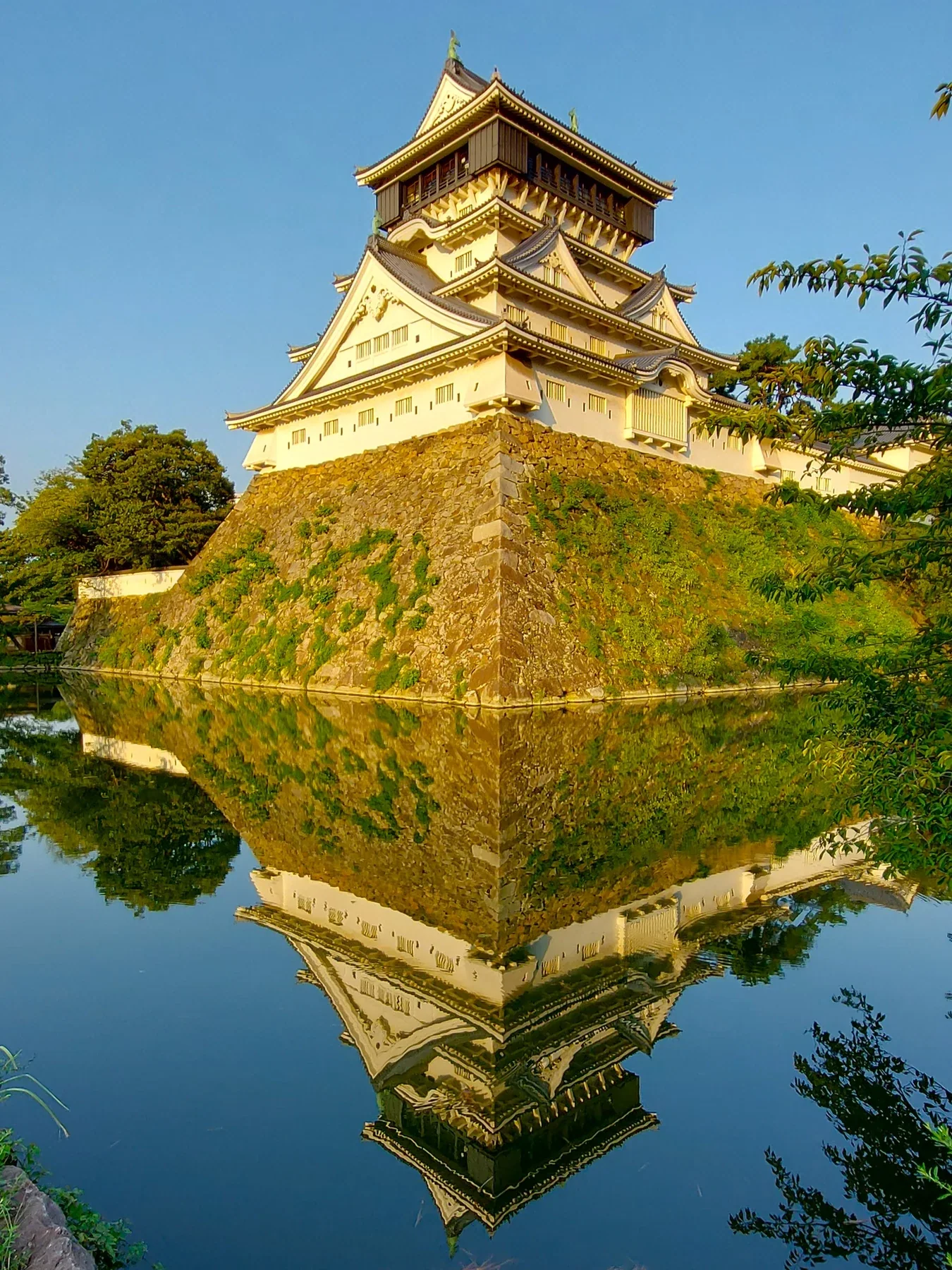 小倉城白色天守映在護城河水面，四周可見石垣與樹木