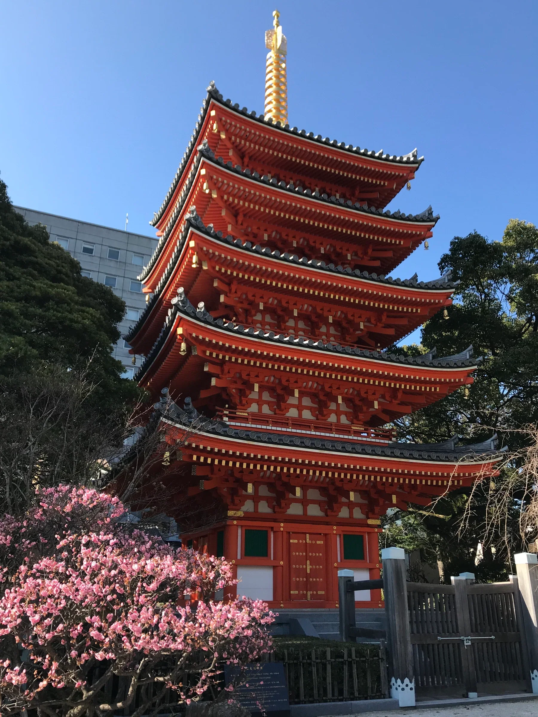 東長寺五重塔日間實景，木塔在藍天下完整可見