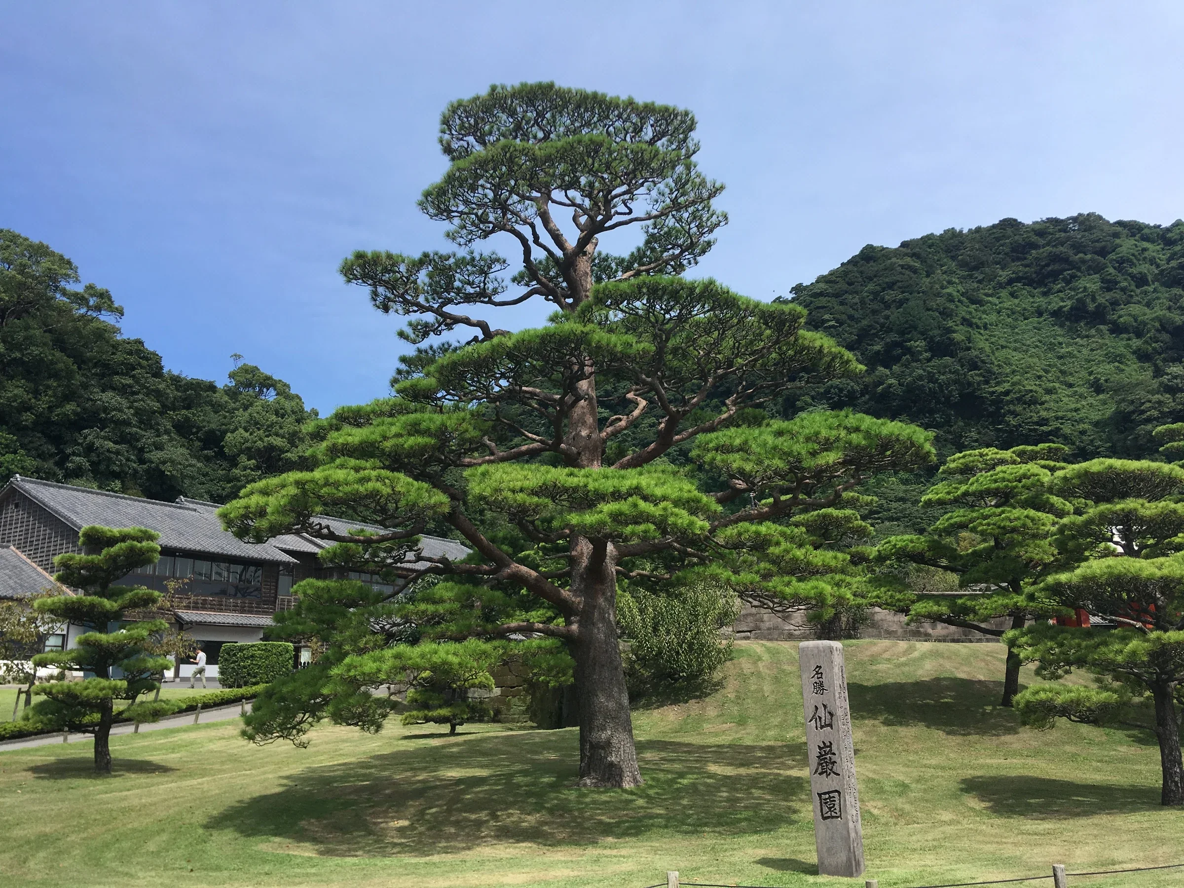 2018年9月仙巖園主庭園的松樹、草地、名勝石碑及低矮建築，非2026菊花祭佈置