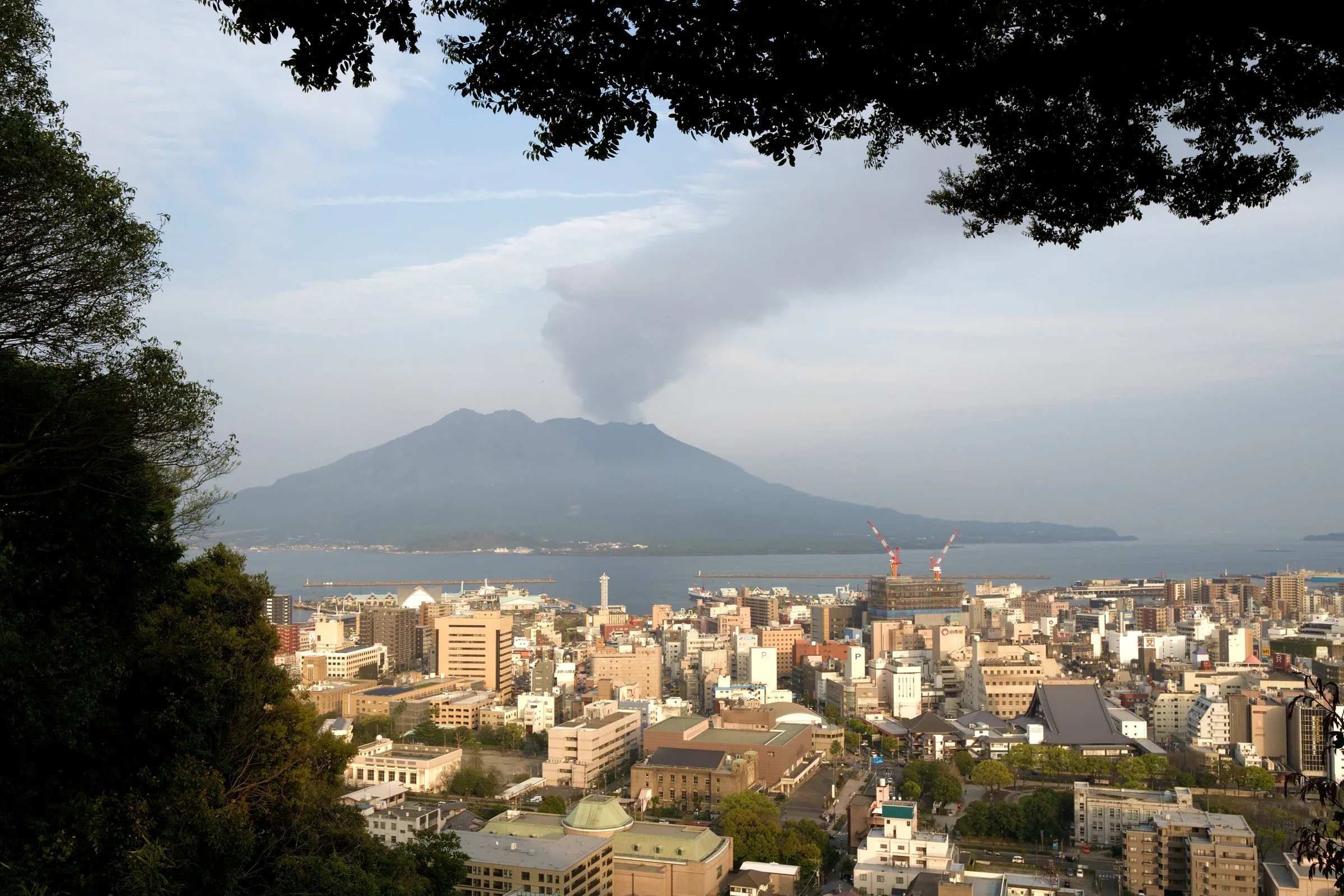 從城山方向望向鹿兒島市區與櫻島的白天景色