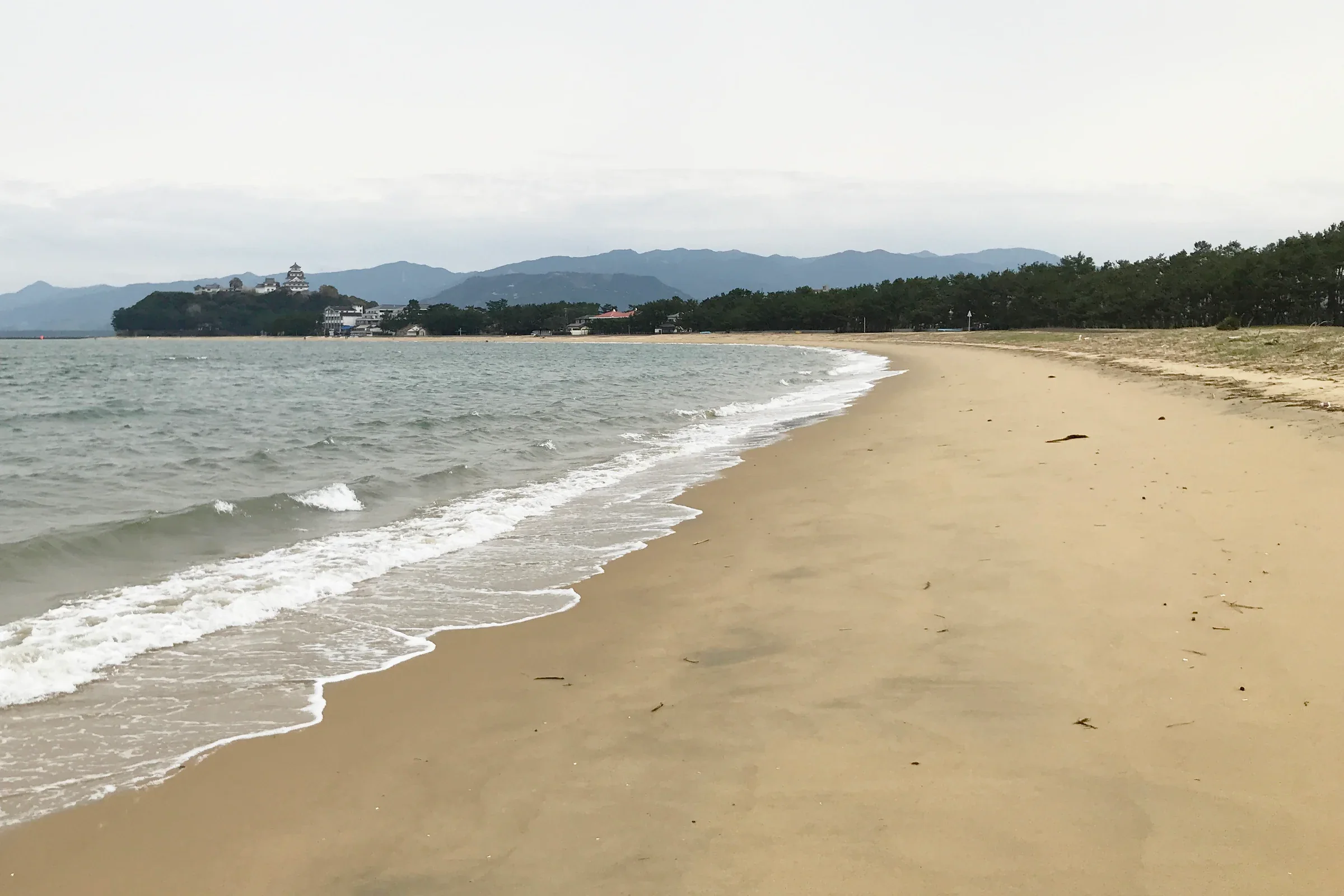 佐賀縣唐津市西の浜海灘，沙地沿松林延伸