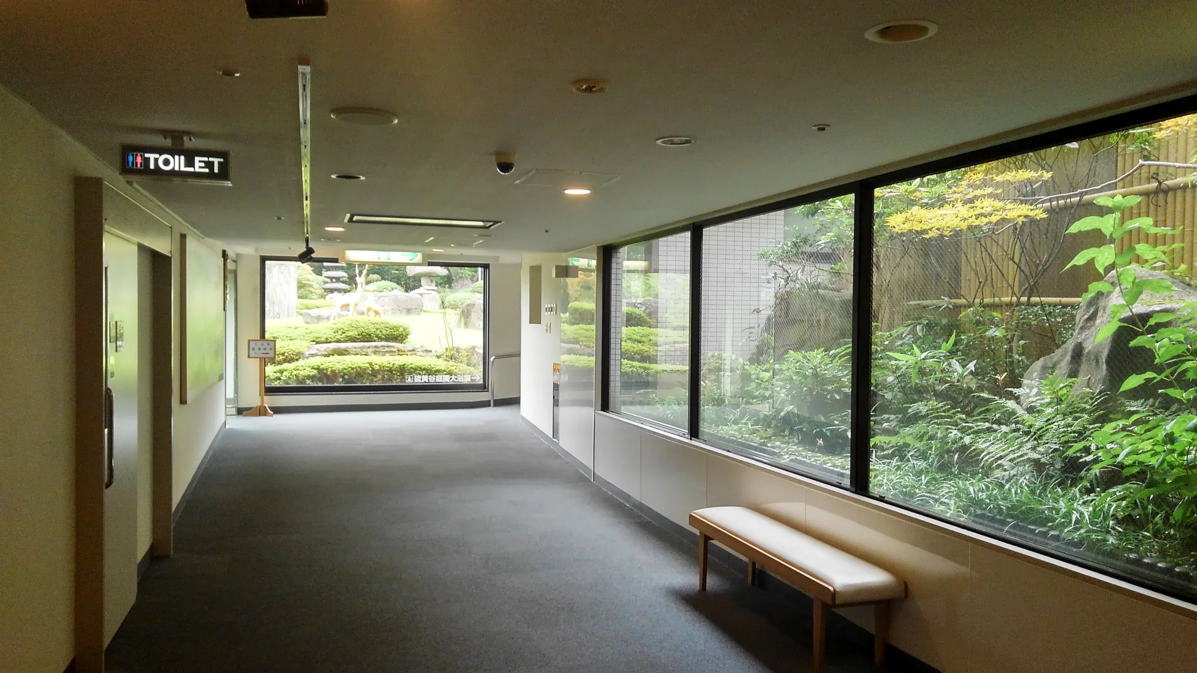 霧島酒店館內走廊，大面窗戶朝向庭園綠意，窗邊設長椅
