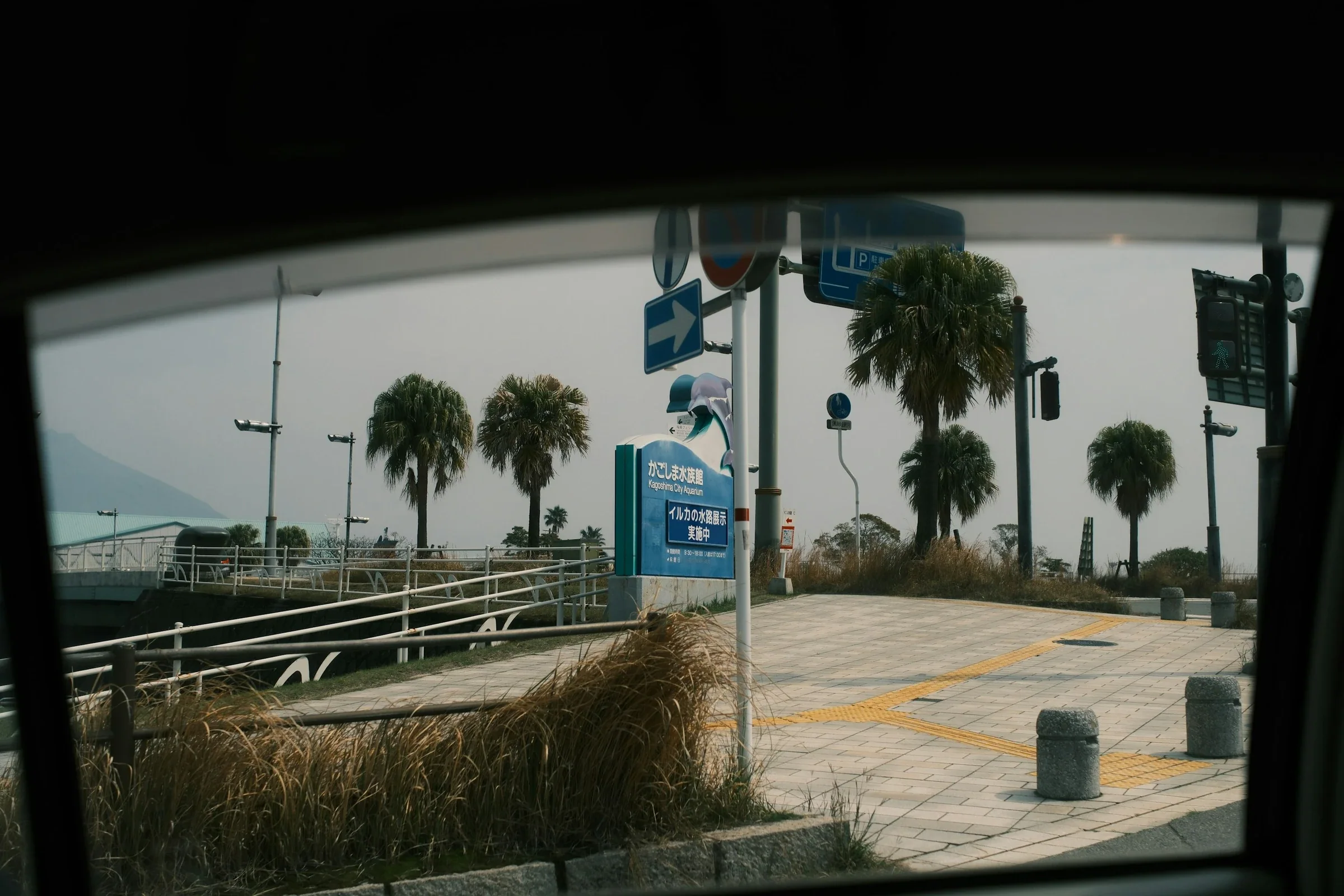 鹿兒島市水族館前的棕櫚樹與海邊步道