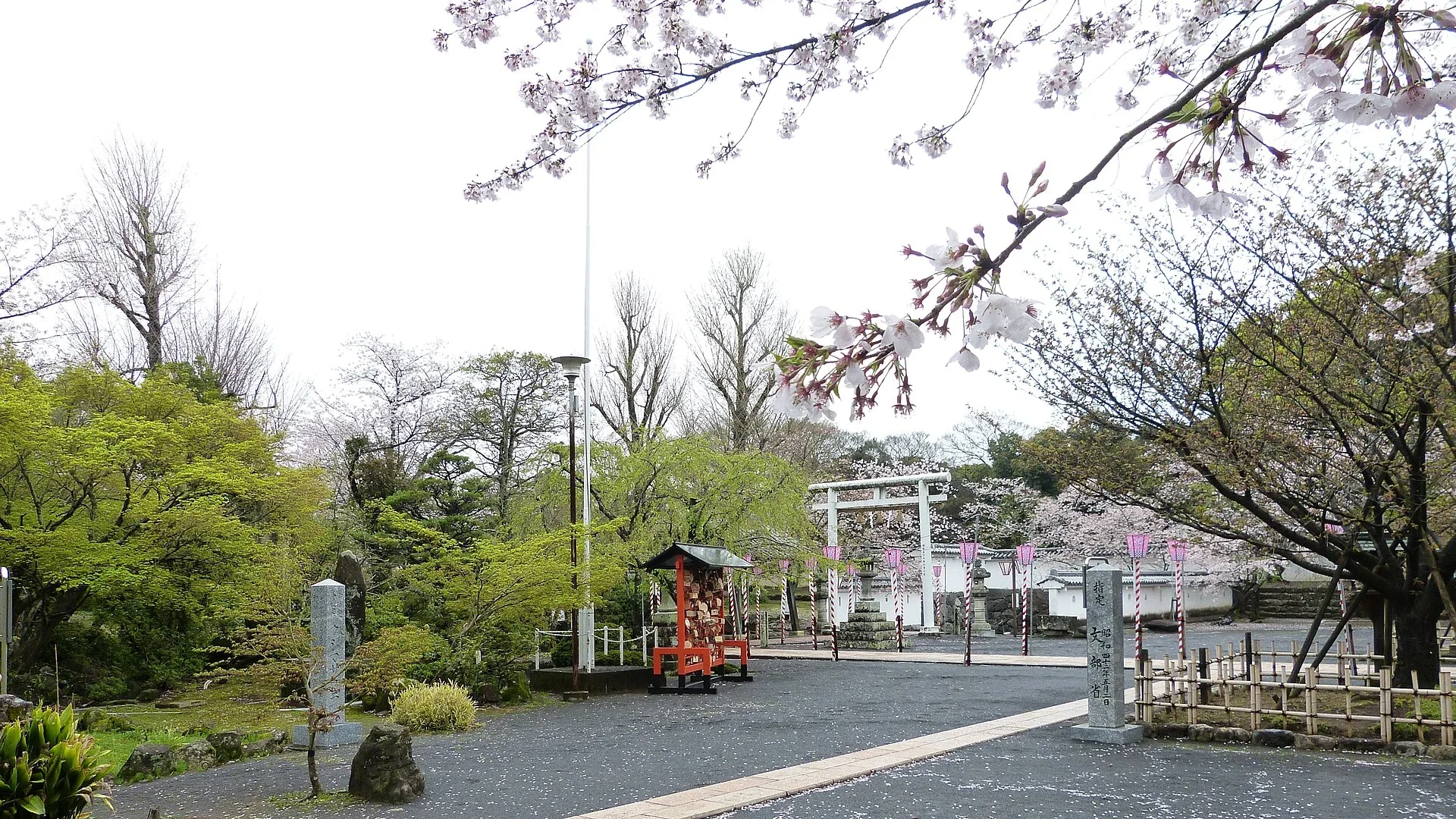大村公園櫻花與玖島城跡周邊景觀
