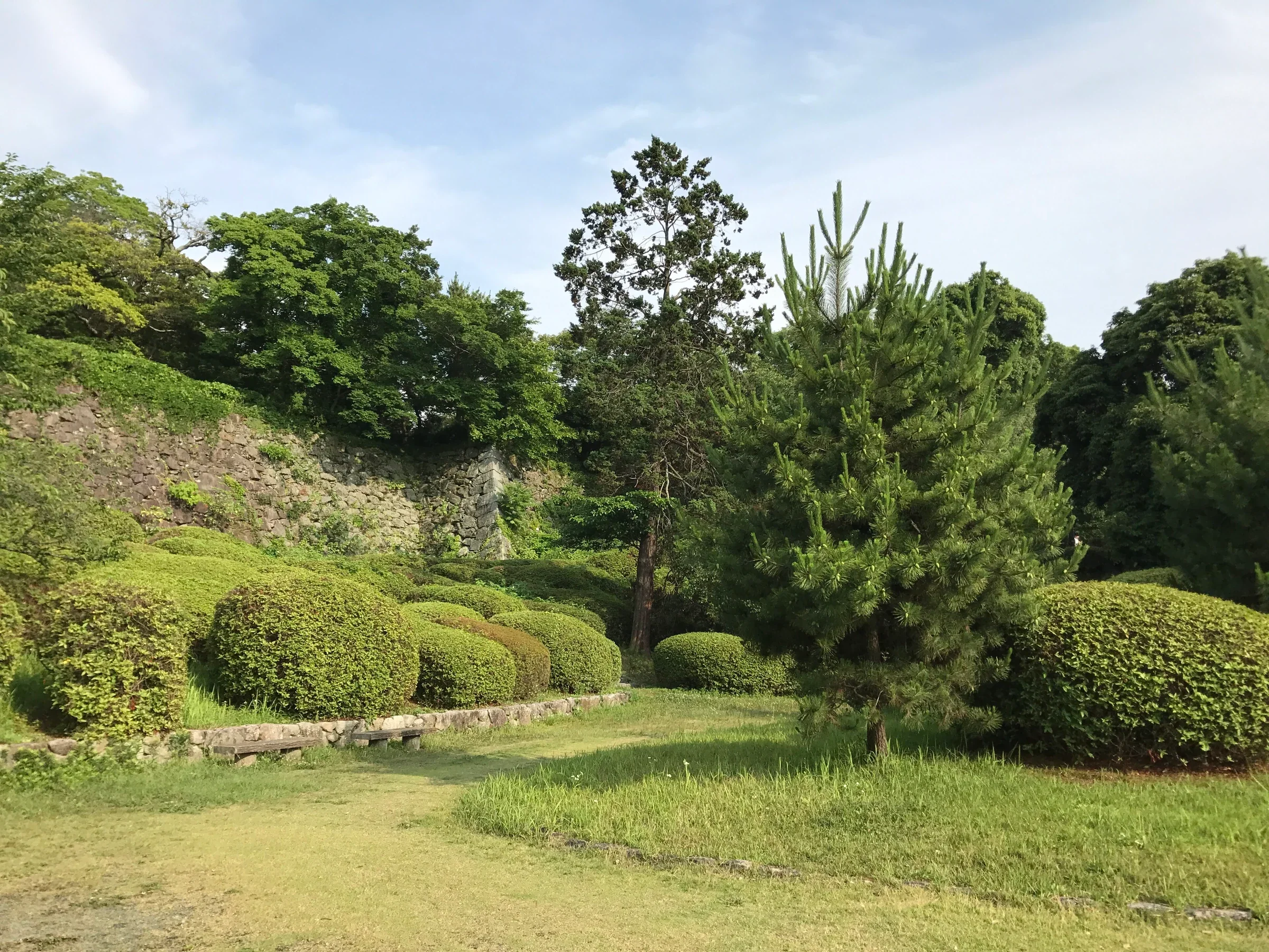 福岡城霧之坂門附近的石垣與植栽