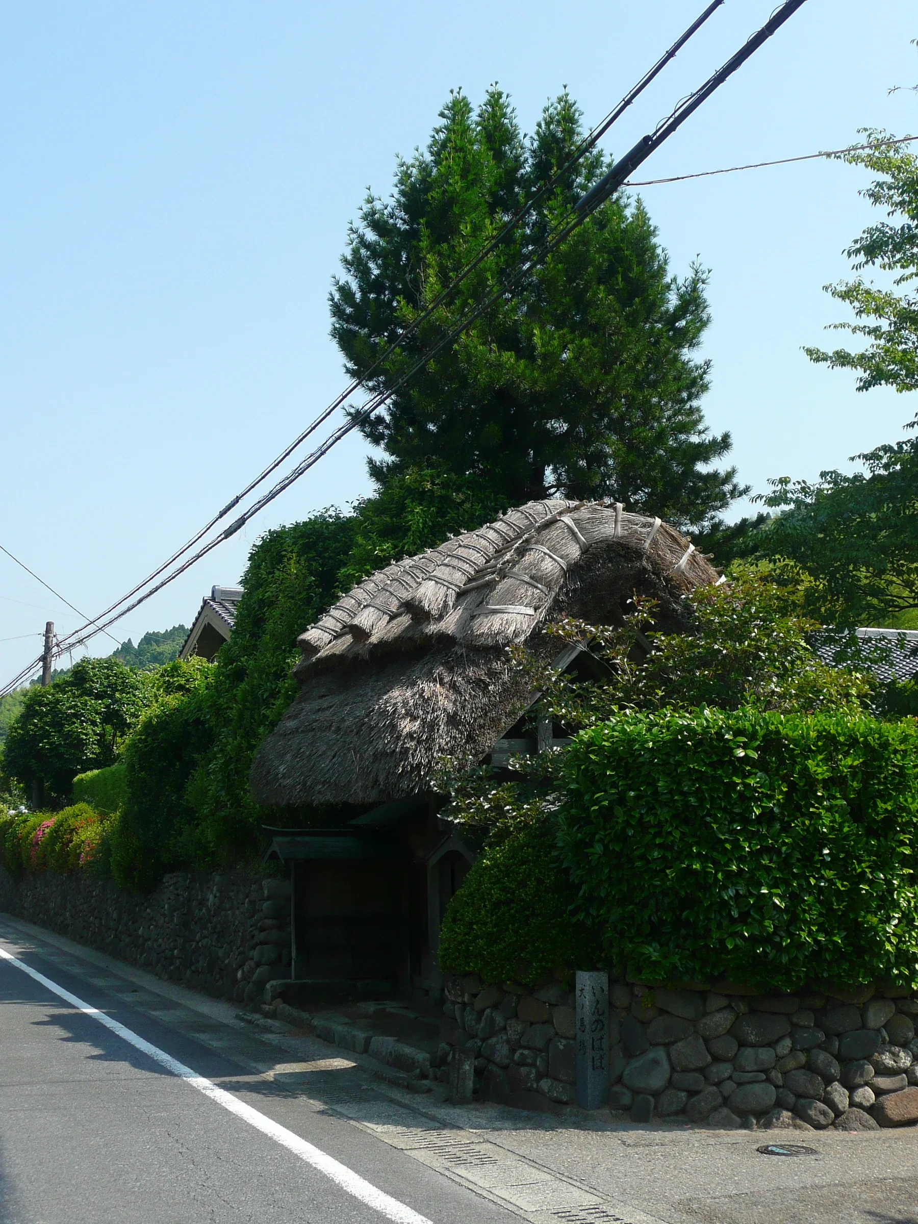 薩摩川內至阿久根自駕路線示意圖：川內川橋、沿海道路與灣岸港口