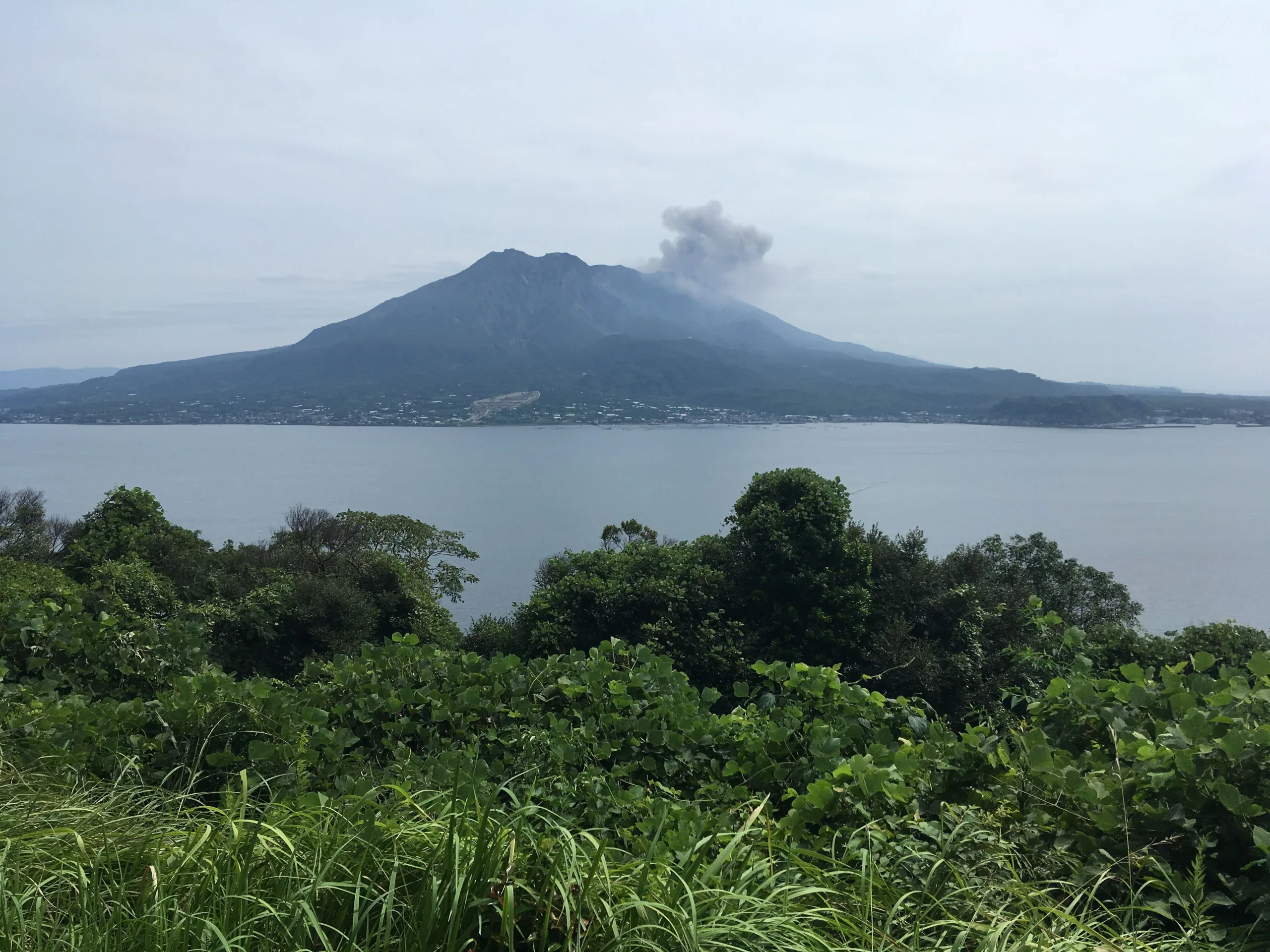 從仙巖園望向低雲中的櫻島火山與錦江灣