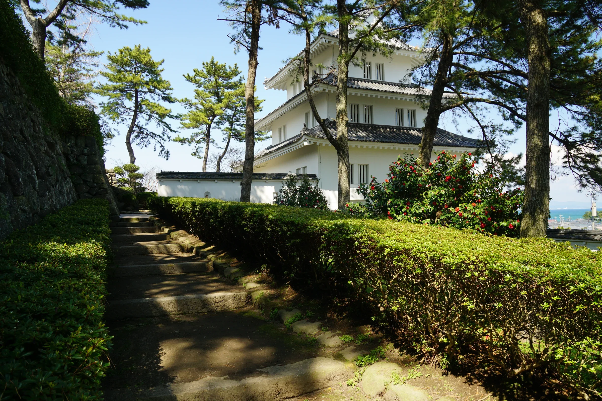 島原城白色天守在松樹後方，前方有步道與綠籬