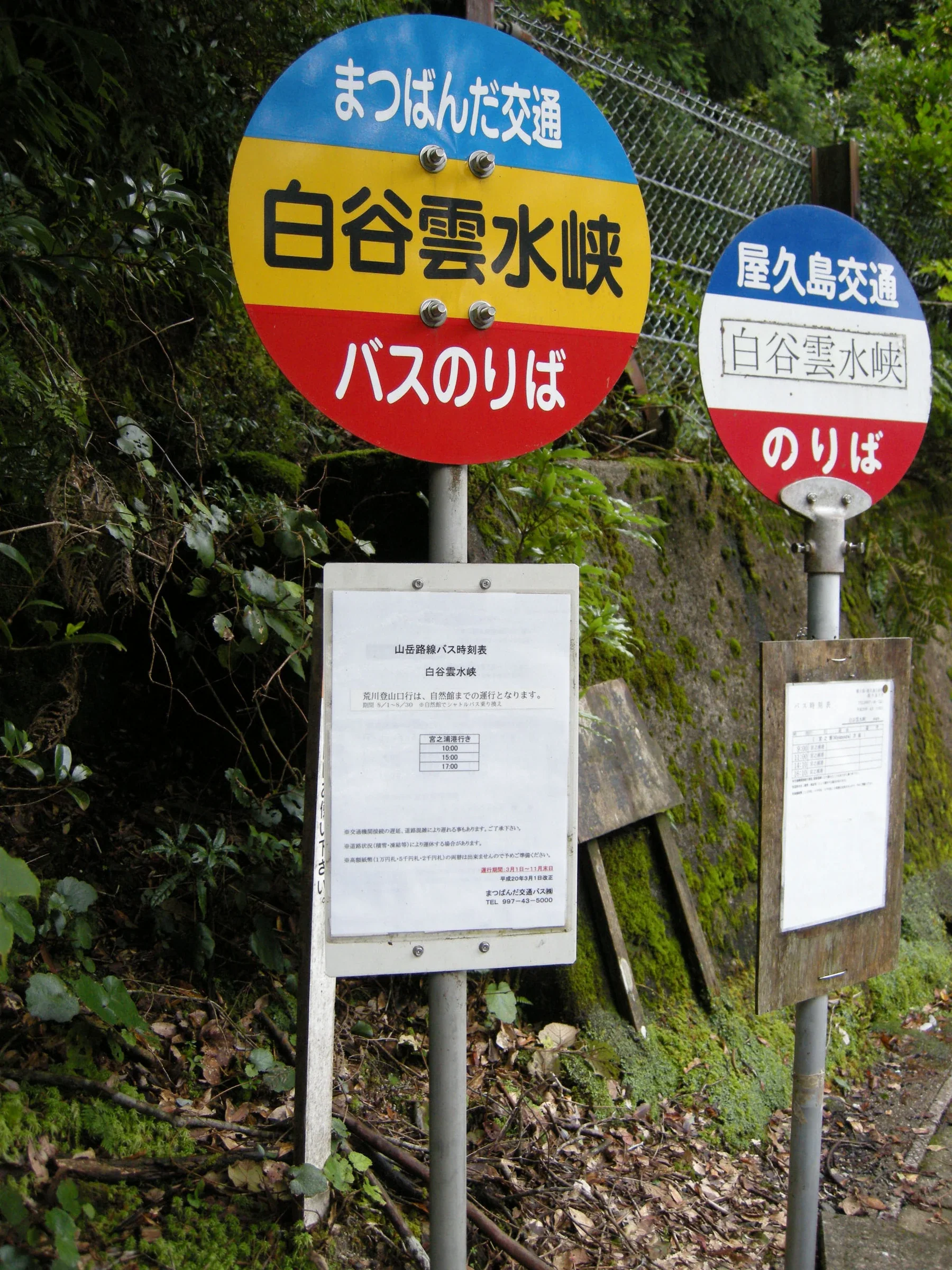 白谷雲水峽方向的まつばんだ交通與屋久島交通巴士站牌